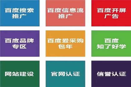 百度SEO优化公司案例：打造品牌网络曝光新高度